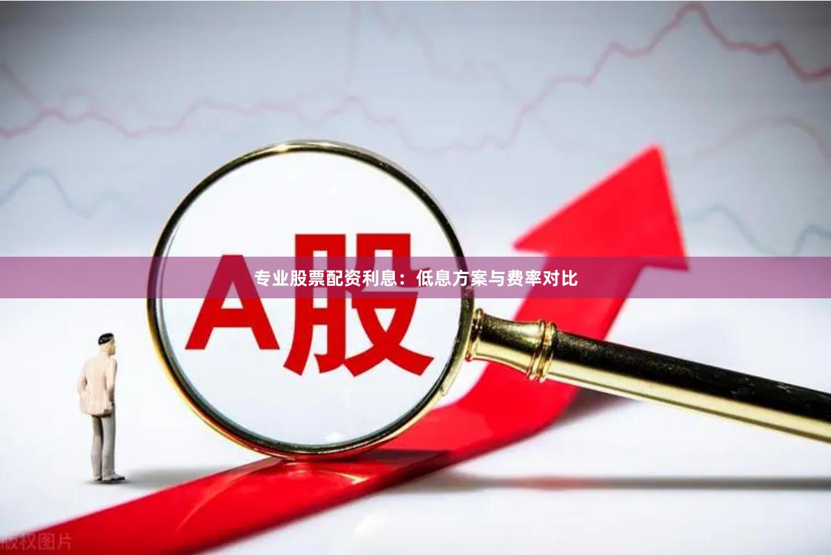 专业股票配资利息：低息方案与费率对比